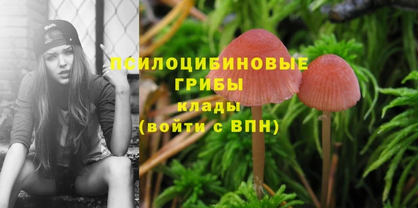 каннабис Абаза